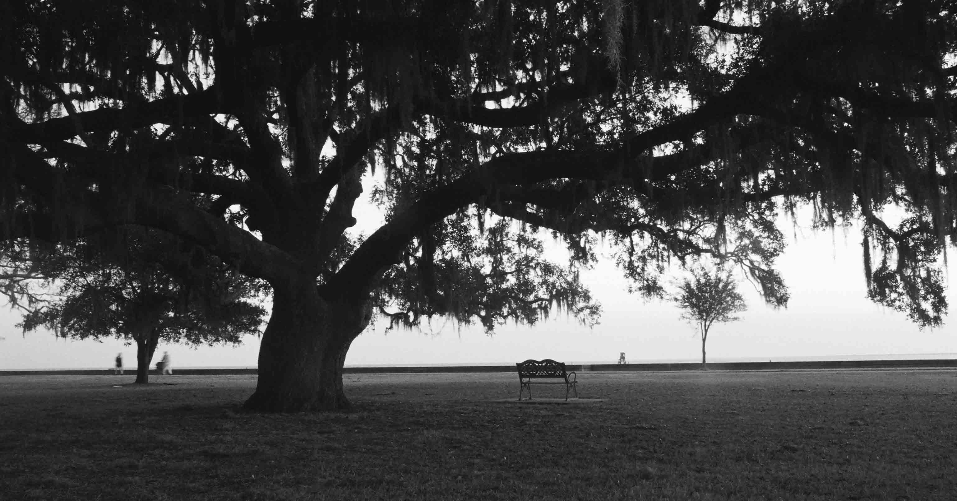 2-14-04-lakefront-bench-sma.jpg